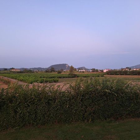 Sarakinádhon Casa Dei Fiori 빌라 외부 사진