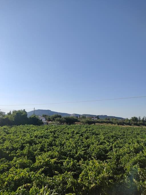Sarakinádhon Casa Dei Fiori 빌라 외부 사진